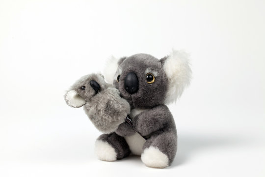 Cute Koala Toy with cub