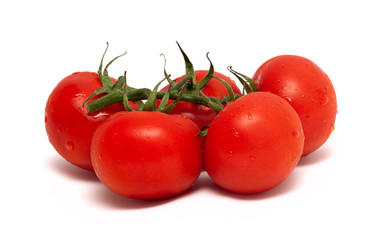 branch of tomato isolated over white background