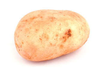 Potato