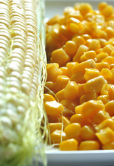 Kolba kukurydzy i ziarno kukurydzy na talerzu - obrazy, fototapety, plakaty