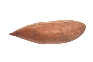 Sweet Potato