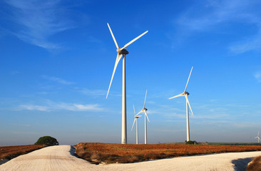 Molinos de viento en el camino