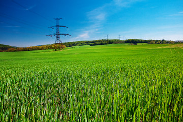 Fototapeta na wymiar meadow and power line against the blue sky