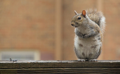 Waiting for a friend