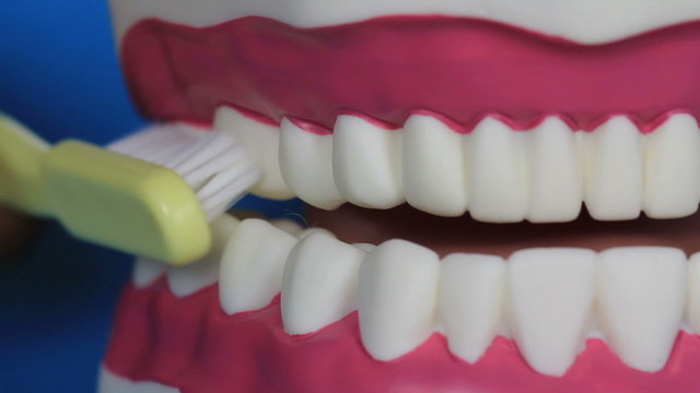 Z&auml;hneputzen mit Zahnb&uuml;rste,VIDEO HD