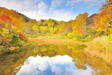 Fotobehang Oranje 紅葉の秋A  © godfather