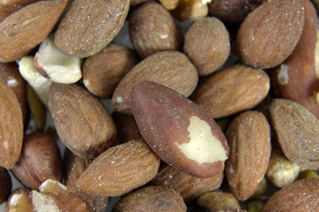 Brazil Nut and Other