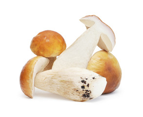 Fototapeta premium Set of images with mushrooms