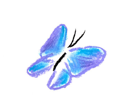 blue butterfly simple illustration