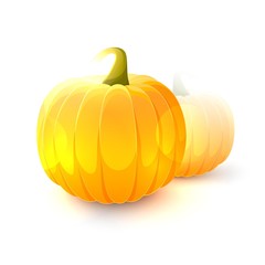 Ripe pumpkin fruits