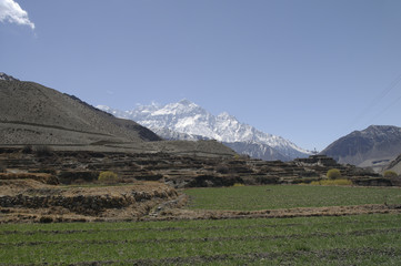 Blick auf das Annapurna Massiv von dem Bergdorf Kagbeni,Mustang