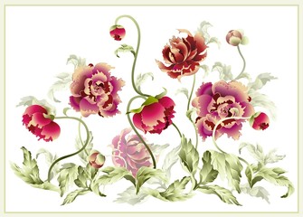 Greeting card with peony. Illustration peony.