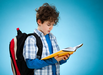 Boy reading book