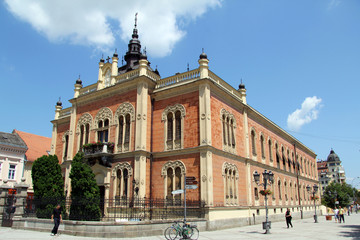 Vladicin court