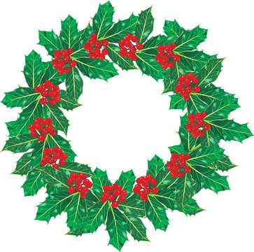 holly Christmas garland vector image