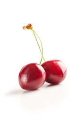 cherry on a white background