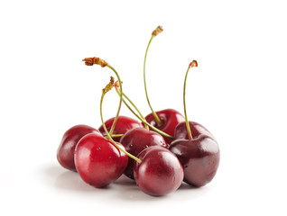 cherry on a white background