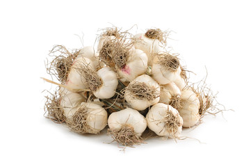 garlic on a white background
