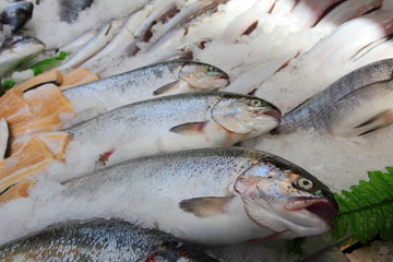 healthy seafood at the bazaar 3