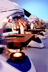 microscopio