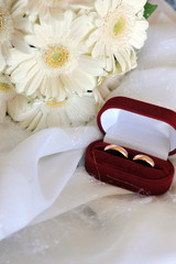 white gerbera and wedding rings