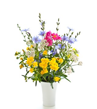 Feldblumen