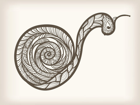 vector hand drawn monochrome snail
