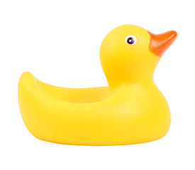 Rubber duck