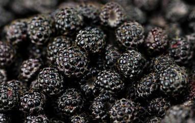 blackberries