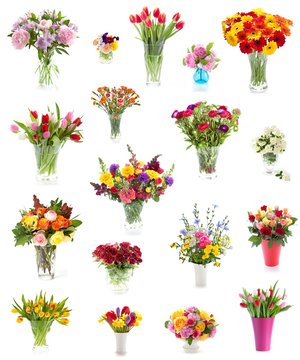 Collection of flowers