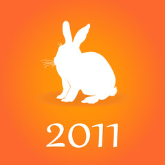 Year of a rabbit3