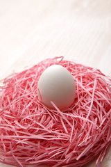 Egg in nest