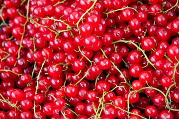 red currants