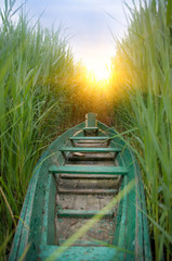 Boat in a cane.Nature composition. - obrazy, fototapety, plakaty