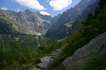 Fototapeta na wymiar ścieżka w górach