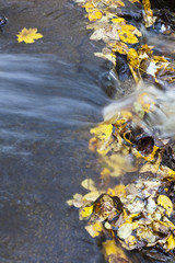 Obraz na płótnie Canvas Waterfall with autumn leaves