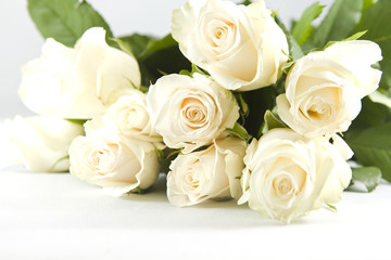 Fototapeta na wymiar Bunch of white rose