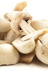 mushrooms