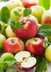 fresh apples
