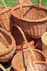 new basket on green herb