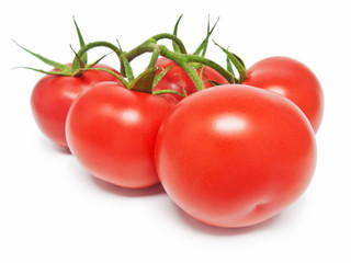 Strauchtomaten