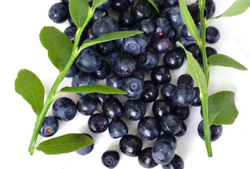 berries