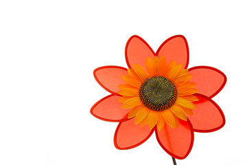 red flower in  white background