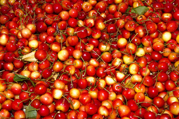 Cherries on display