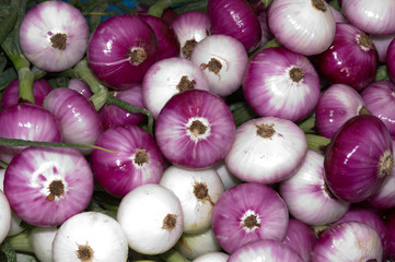Onions on display