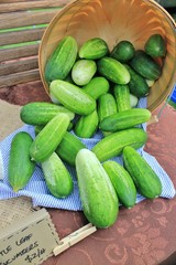 Basket of cucumbers