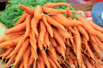 Bunches of fresh carrots