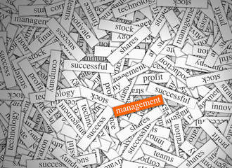 Obraz premium Magnetic Word Labels - Management