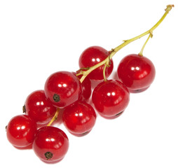 Currant fruits isolated on white