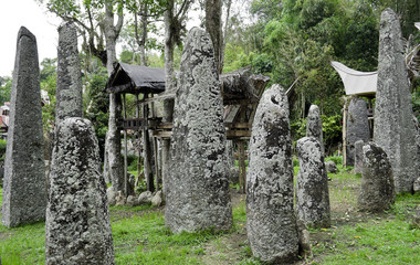 Traditional family burial site